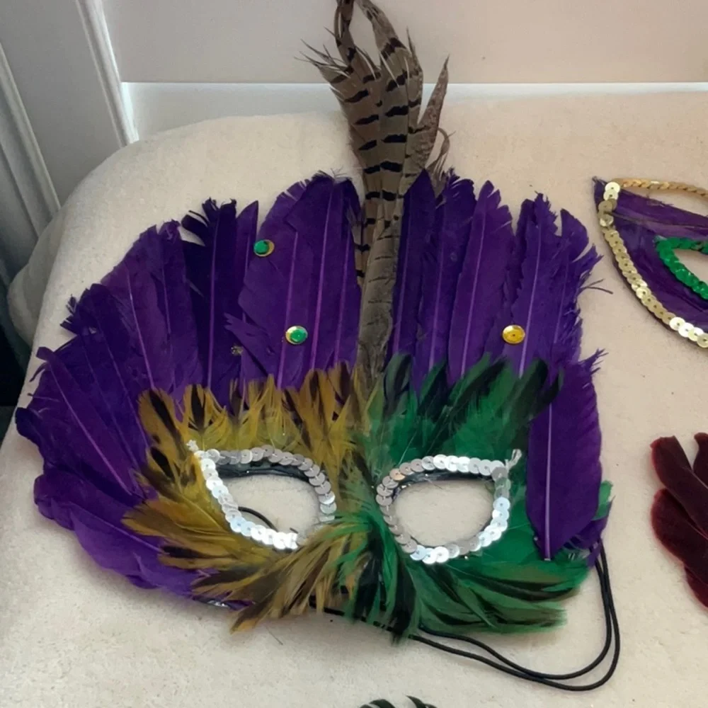 Mardi Gras Mask